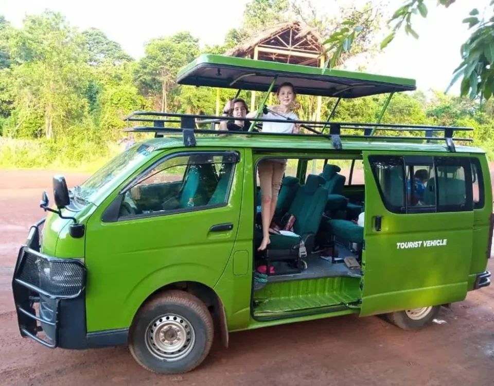 What Is a Night Game Drive, and Where Is It Offered?