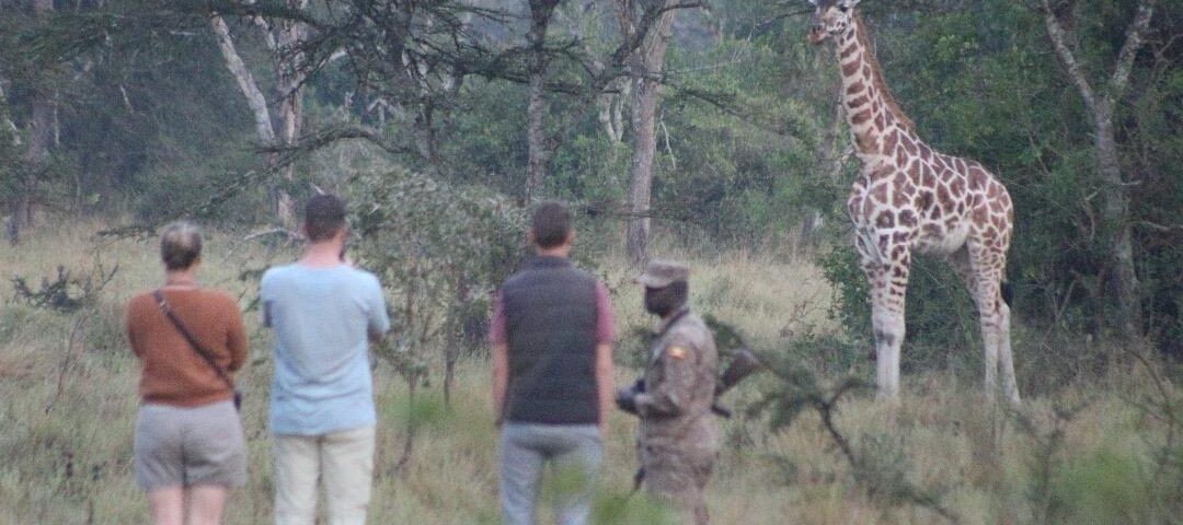 Murchison Falls National Park