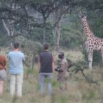 Murchison Falls National Park