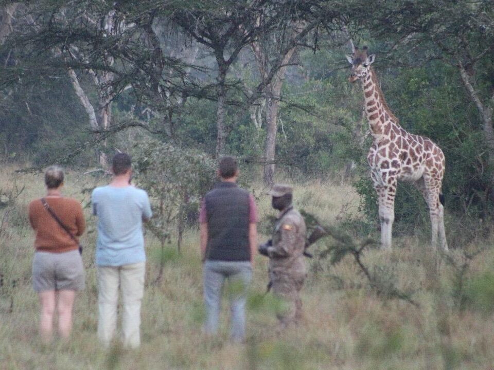 Murchison Falls National Park