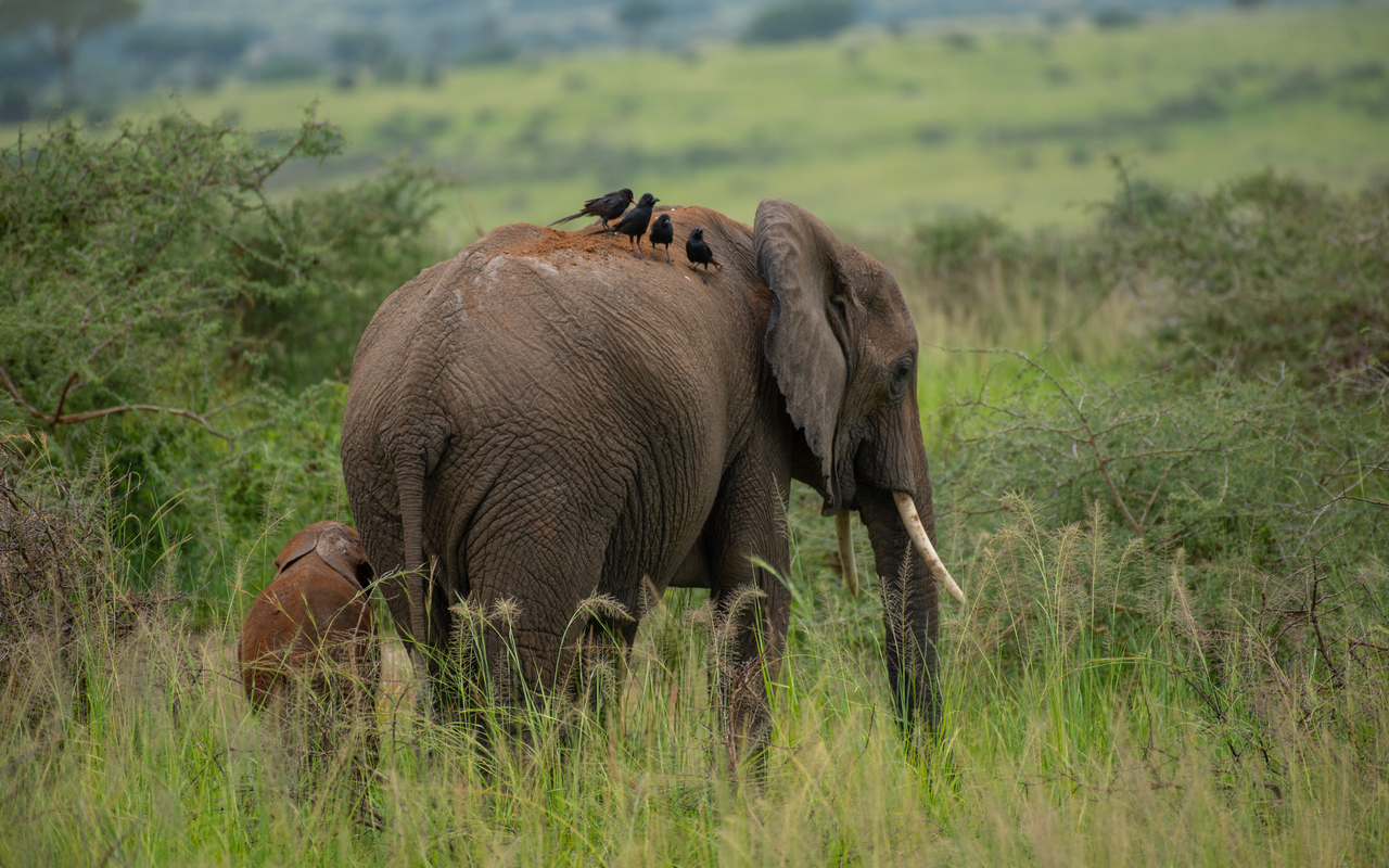 Responsible Tourism