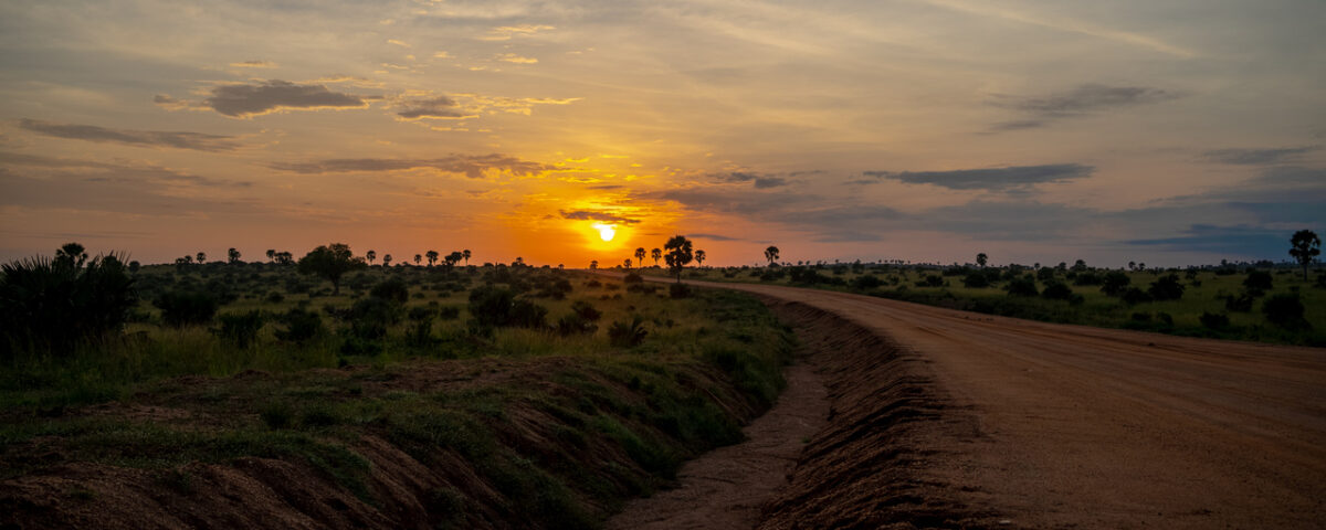 Murchison Falls Uganda Safari