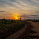 Murchison Falls Uganda Safari