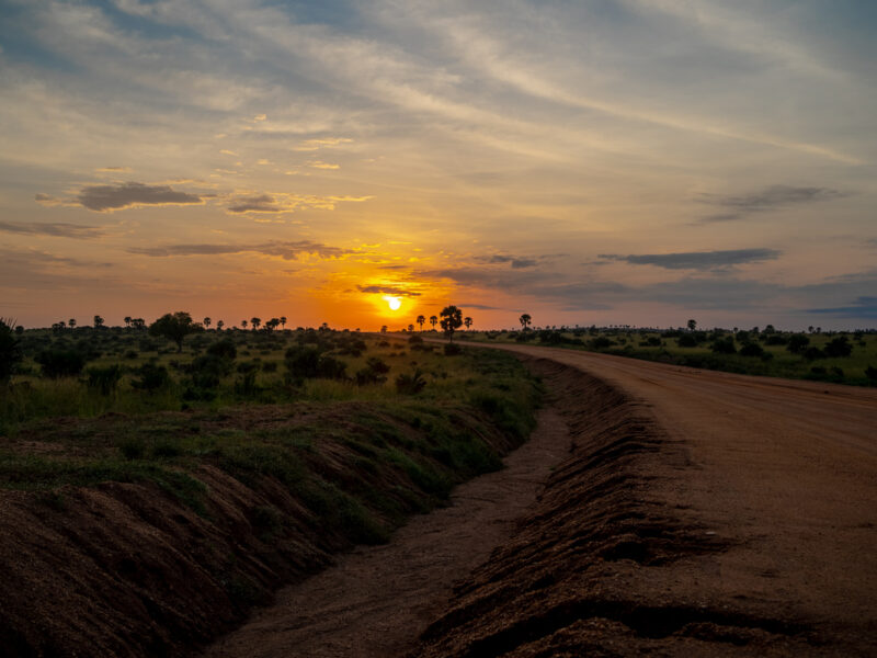 Murchison Falls Uganda Safari