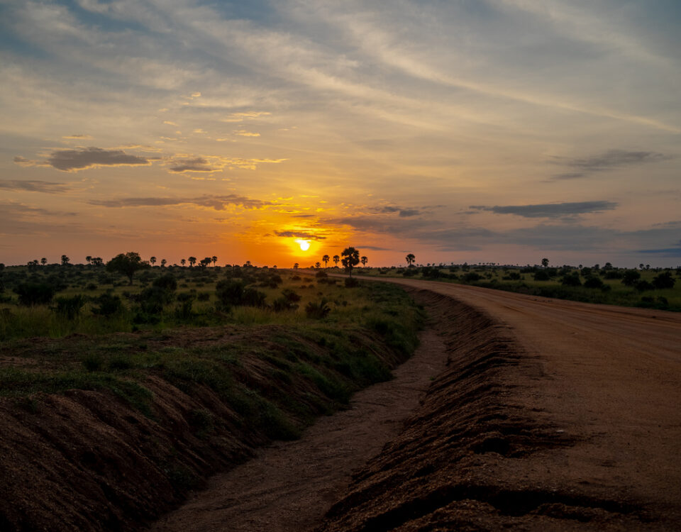 Murchison Falls Uganda Safari