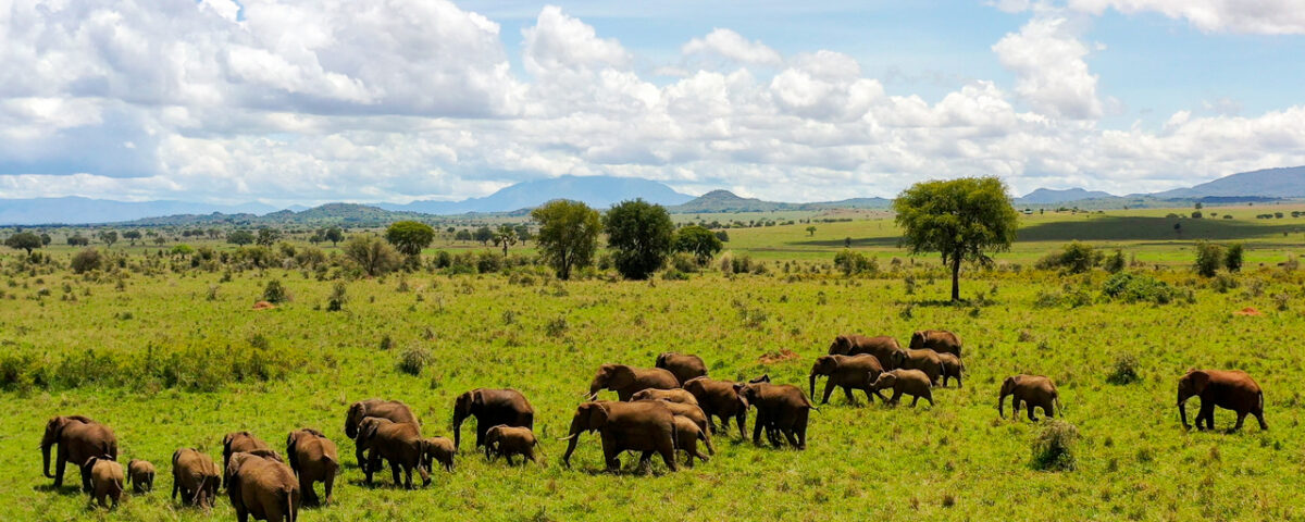 Murchison Falls National Park