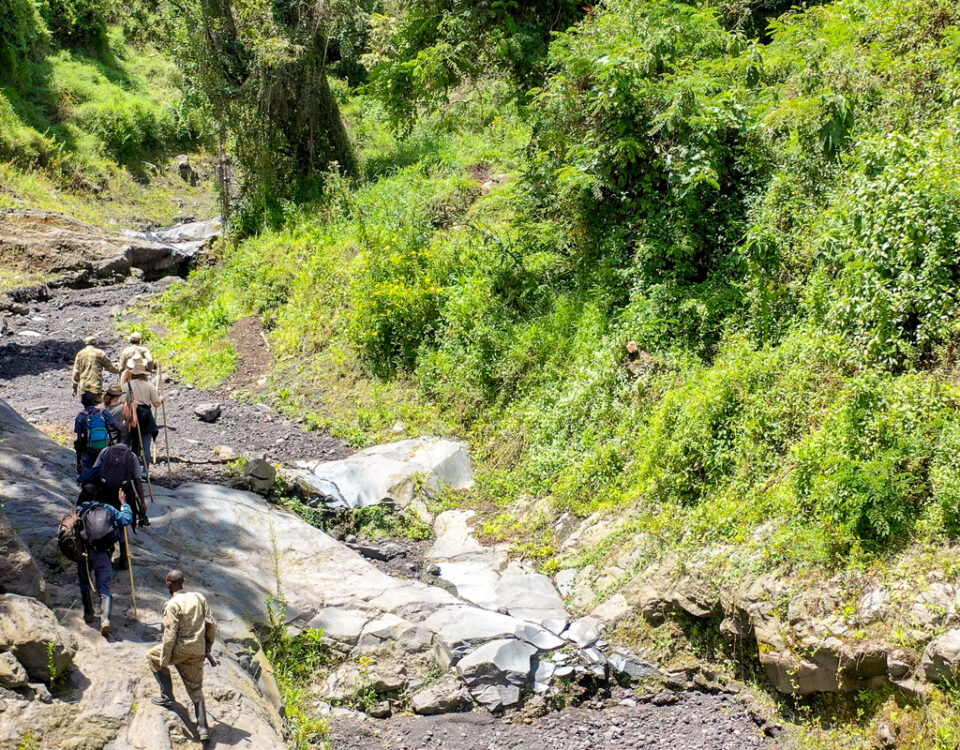 How Long is the Hike to the Top of Murchison Falls