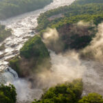 Uganda Safaris