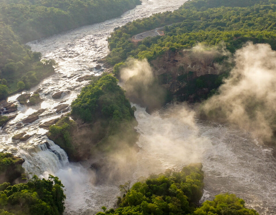 Uganda Safaris