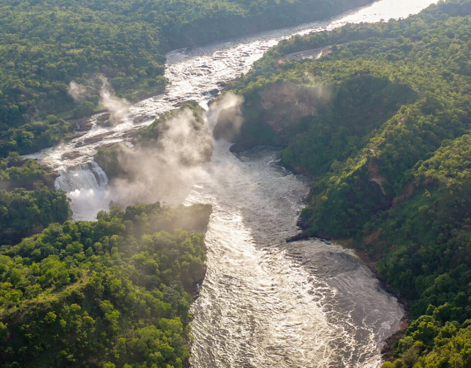 Murchison Falls Tour Experiences