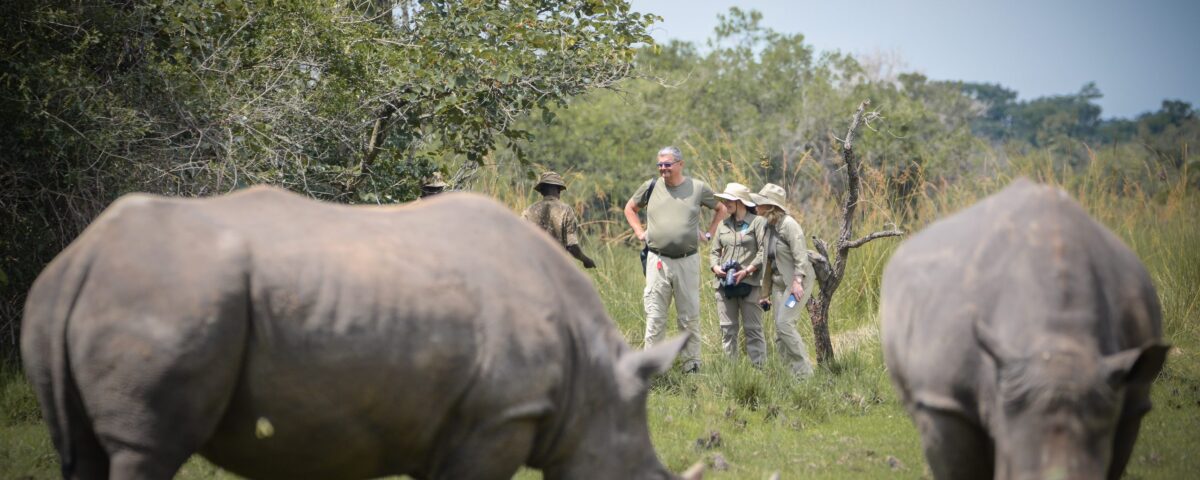  Are There Other Wildlife Species to See at Ziwa Rhino Sanctuary Besides Rhinos?
