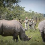  Are There Other Wildlife Species to See at Ziwa Rhino Sanctuary Besides Rhinos?