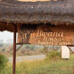 Bwana Tembo Safari Camp