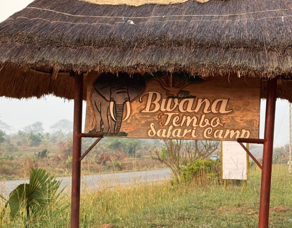Bwana Tembo Safari Camp