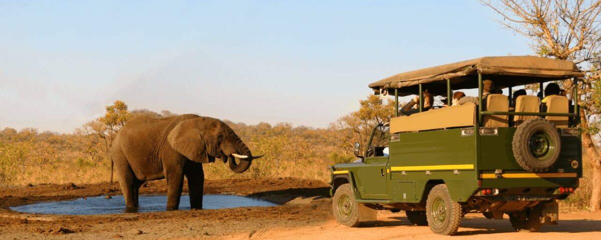 Exploring Queen Elizabeth National Park