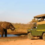 Exploring Queen Elizabeth National Park