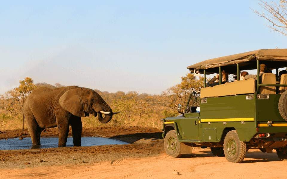 Exploring Queen Elizabeth National Park