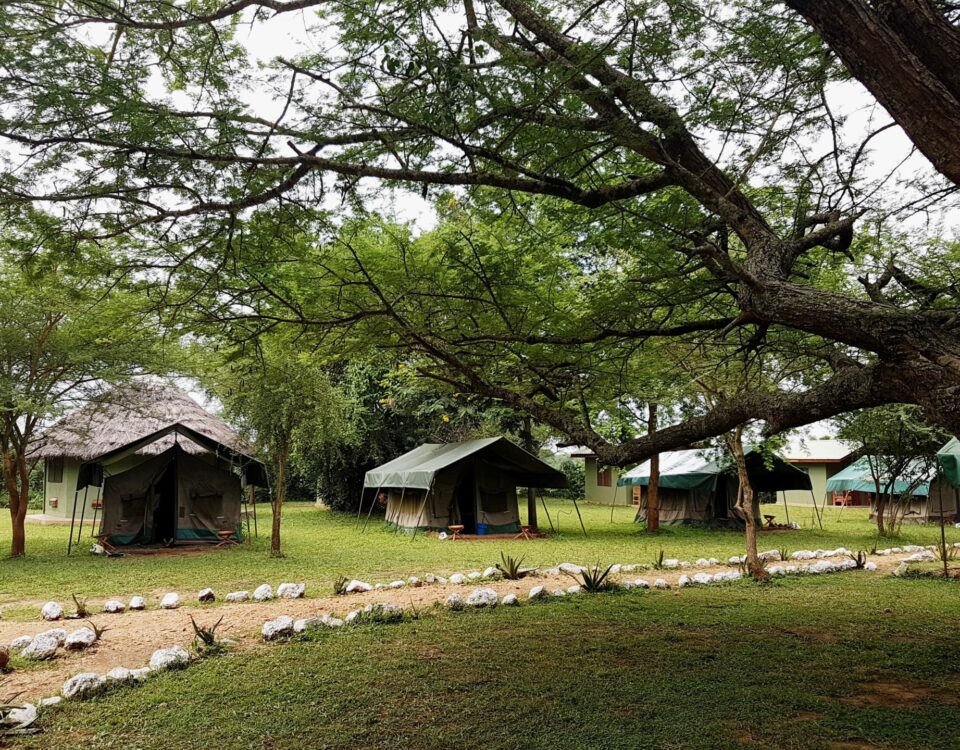 Red Chilli Rest Camp