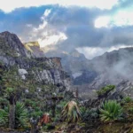 Exploring the Rwenzori Mountains: Africa’s “Mountains of the Moon”