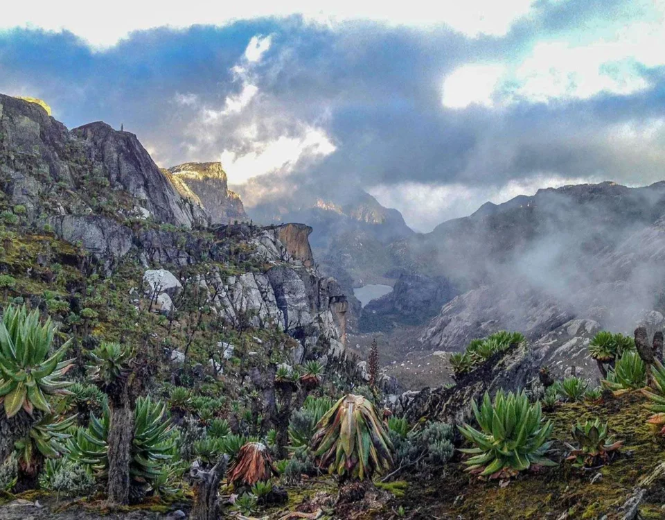 Exploring the Rwenzori Mountains: Africa’s “Mountains of the Moon”