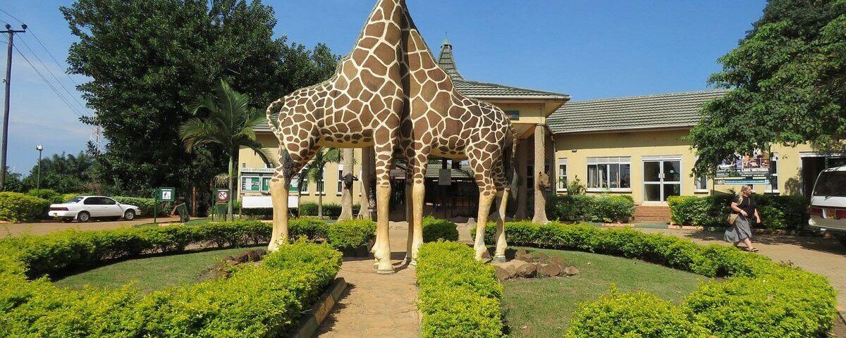 Visit Uganda Wildlife Education Centre (UWEC)