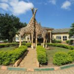 Visit Uganda Wildlife Education Centre (UWEC)