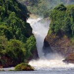 When is the Best Time to Visit Murchison Falls National Park?
