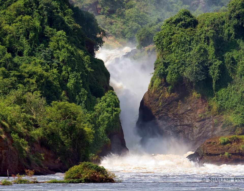 When is the Best Time to Visit Murchison Falls National Park?
