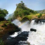 Exploring Murchison Falls National Park: Nature and Adventure