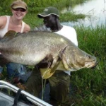 Nile Perch Fishing in Murchison