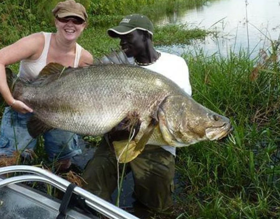 Nile Perch Fishing in Murchison