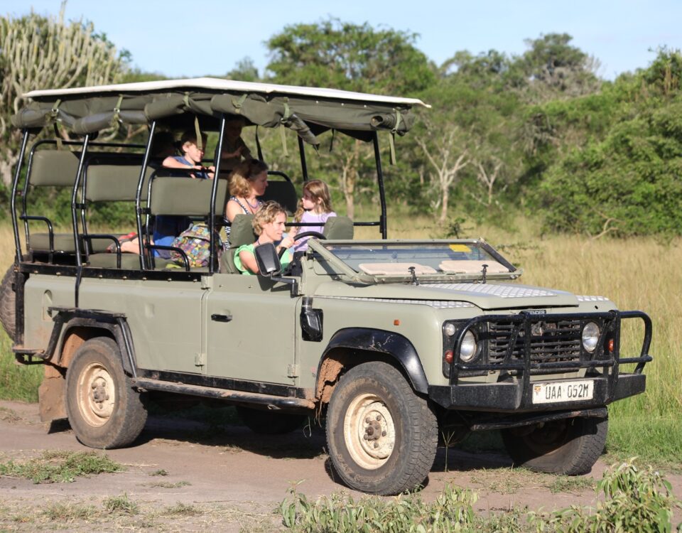 Game Drive in Lake Mburo National Park