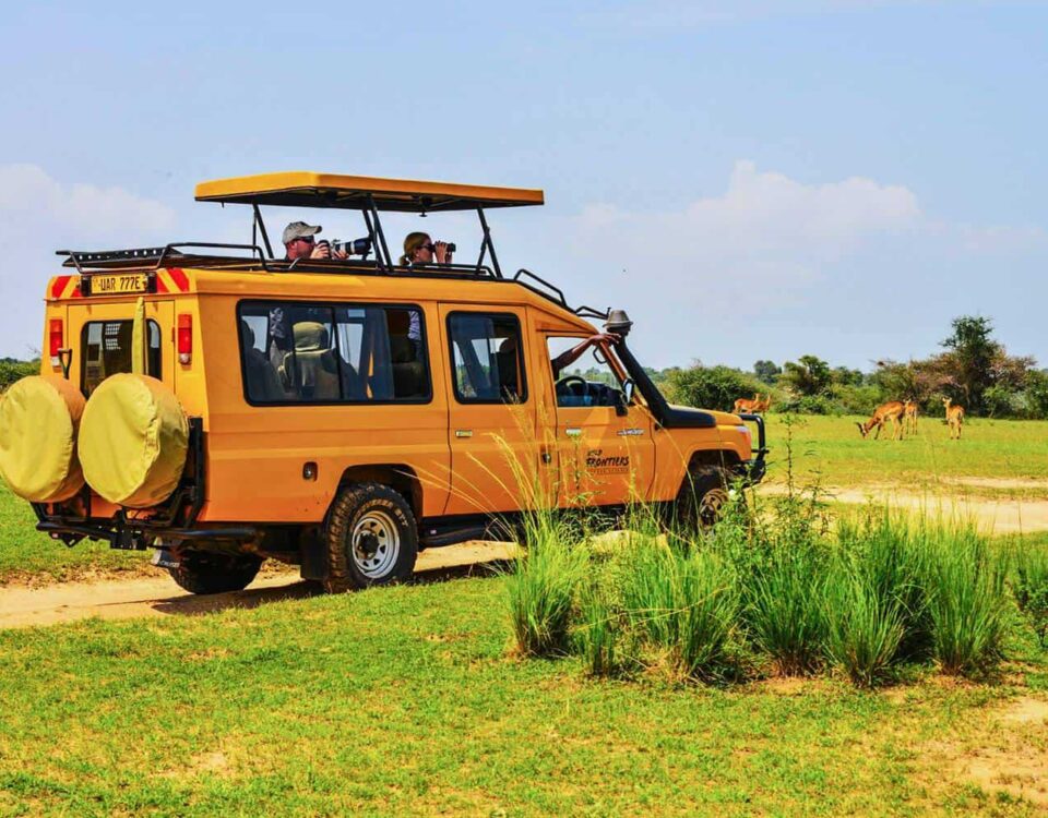 Game Drive in Murchison Falls National Park