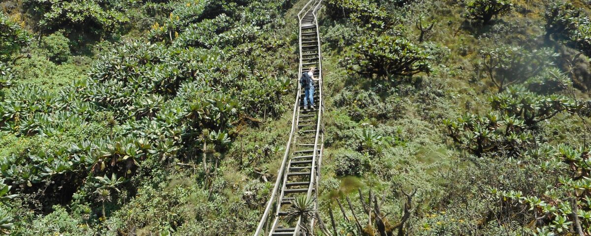 Mount Sabinyo Hike
