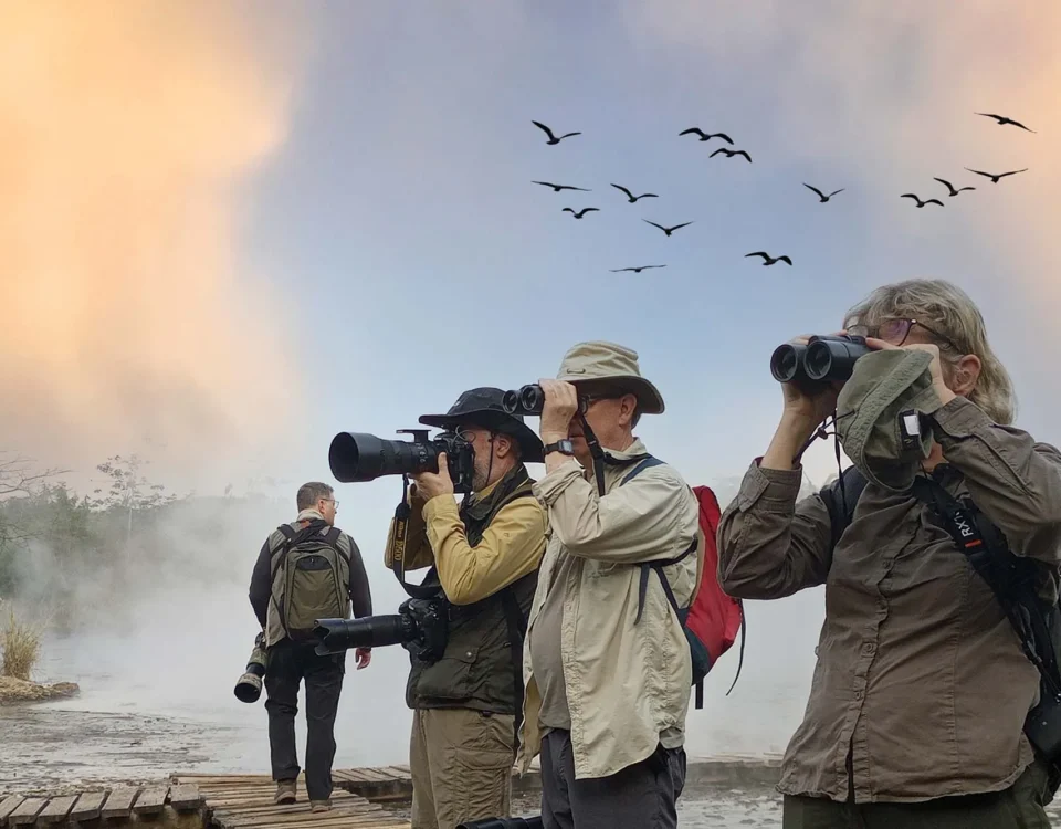 Birdwatching in Semuliki National Park