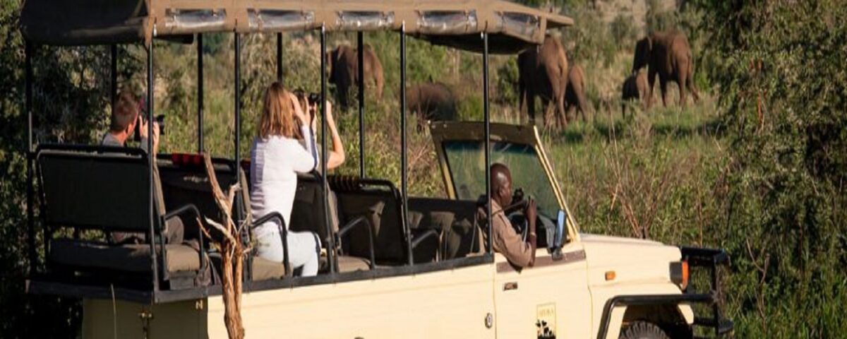 Game Drive in Semuliki Wildlife Reserve