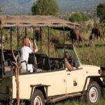 Game Drive in Semuliki Wildlife Reserve