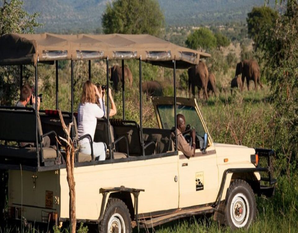 Game Drive in Semuliki Wildlife Reserve