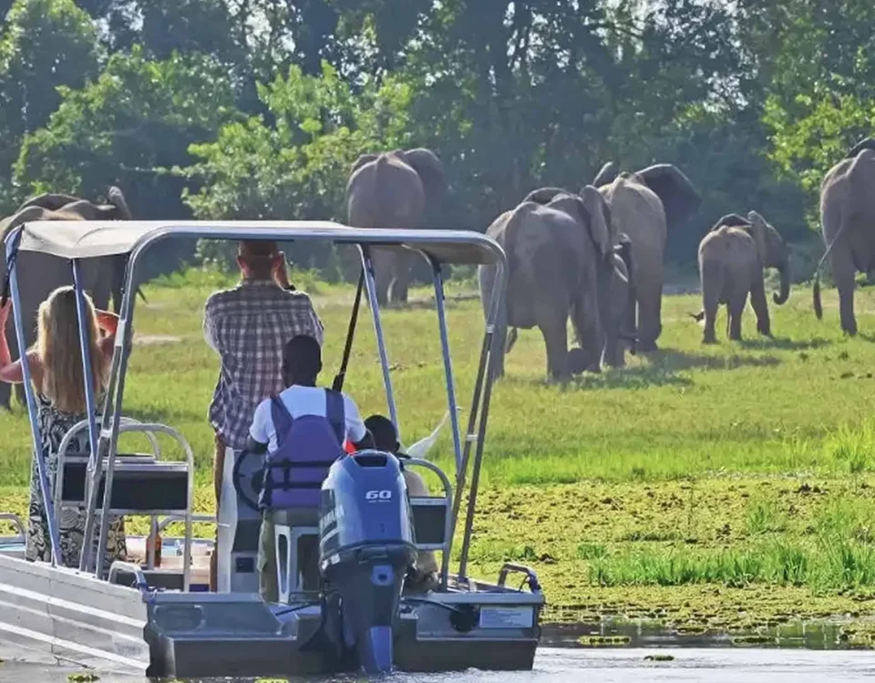 Kazinga Channel Boat Cruise in Queen Elizabeth National Park