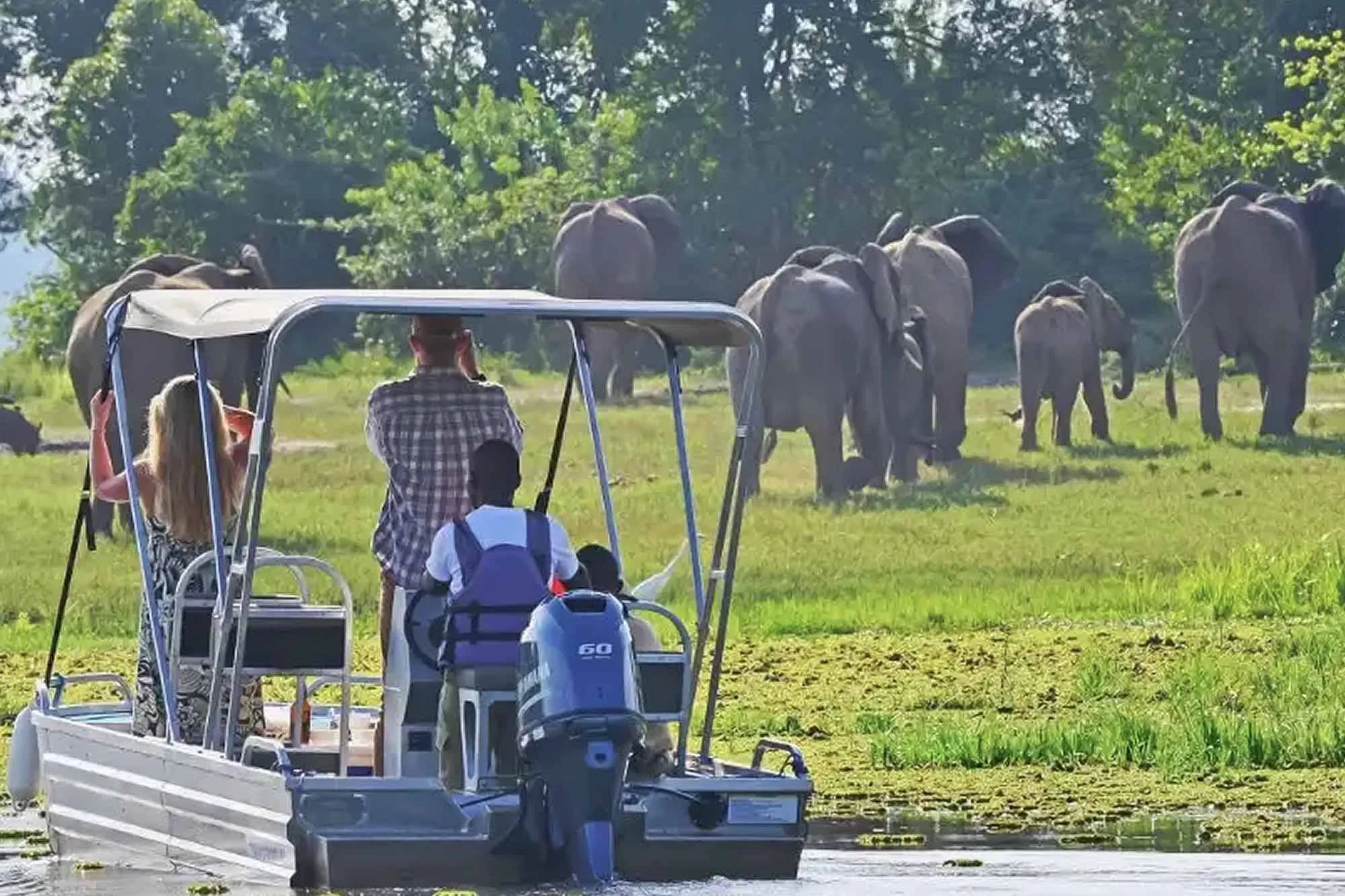 5 Days Uganda Gorilla Habituation & Wildlife Safari