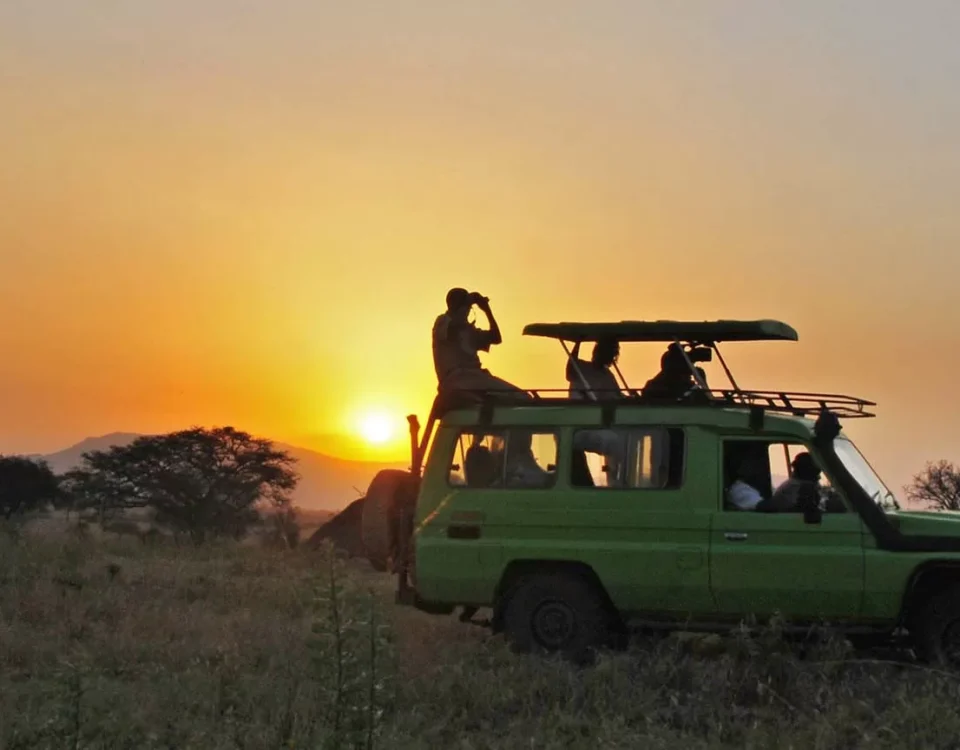 Game Drive in Kidepo Valley National Park