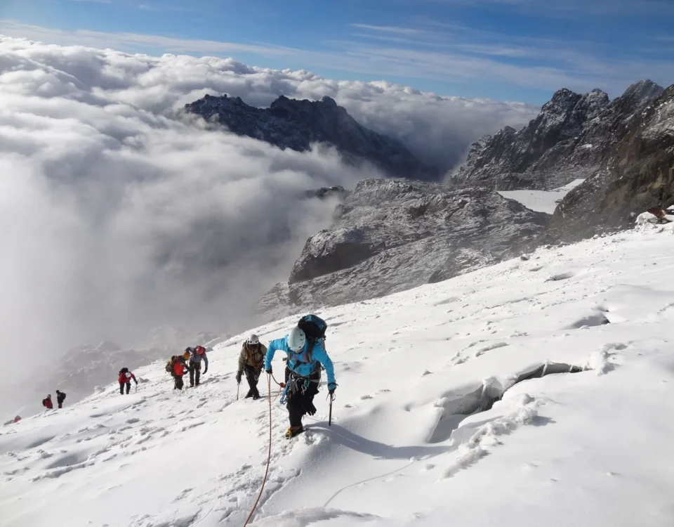 Hike the Rwenzori Mountains