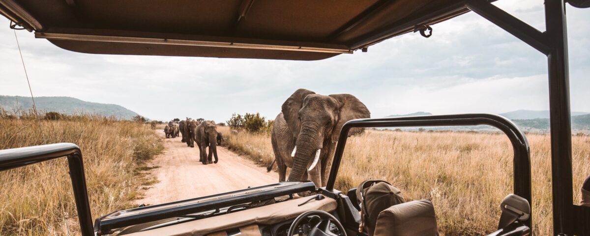 Are Game Drives Included in Safari Packages