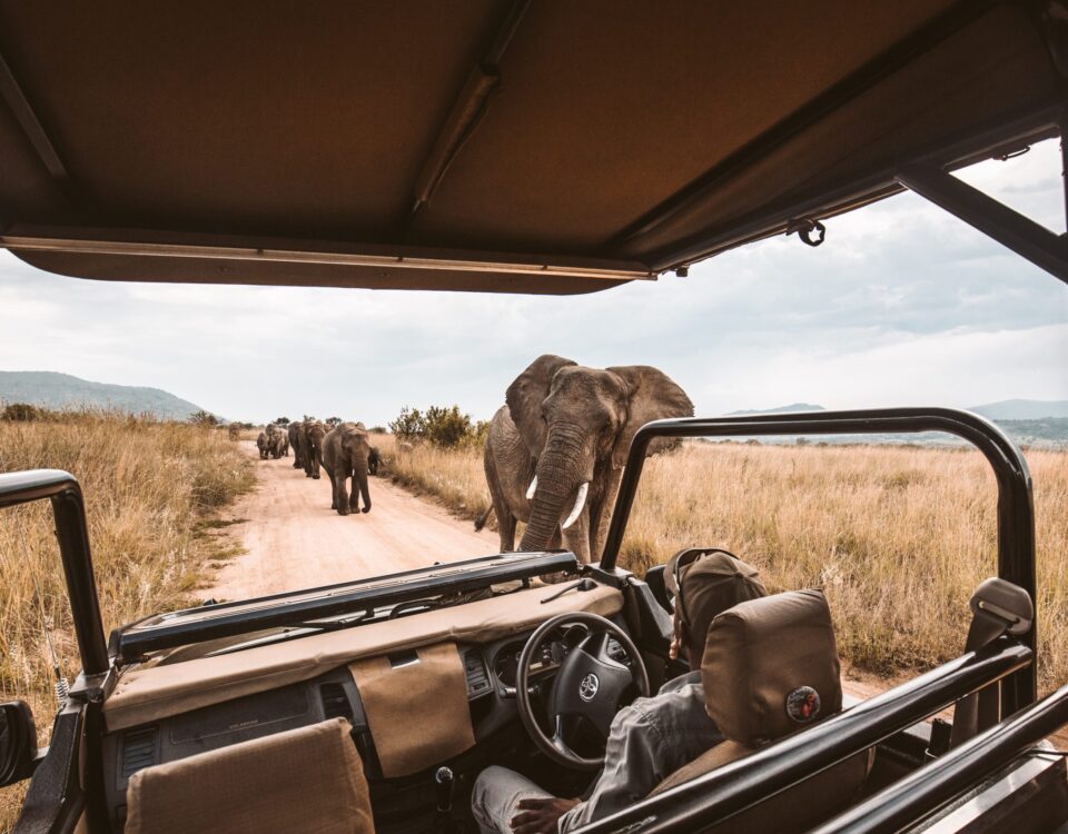 Are Game Drives Included in Safari Packages