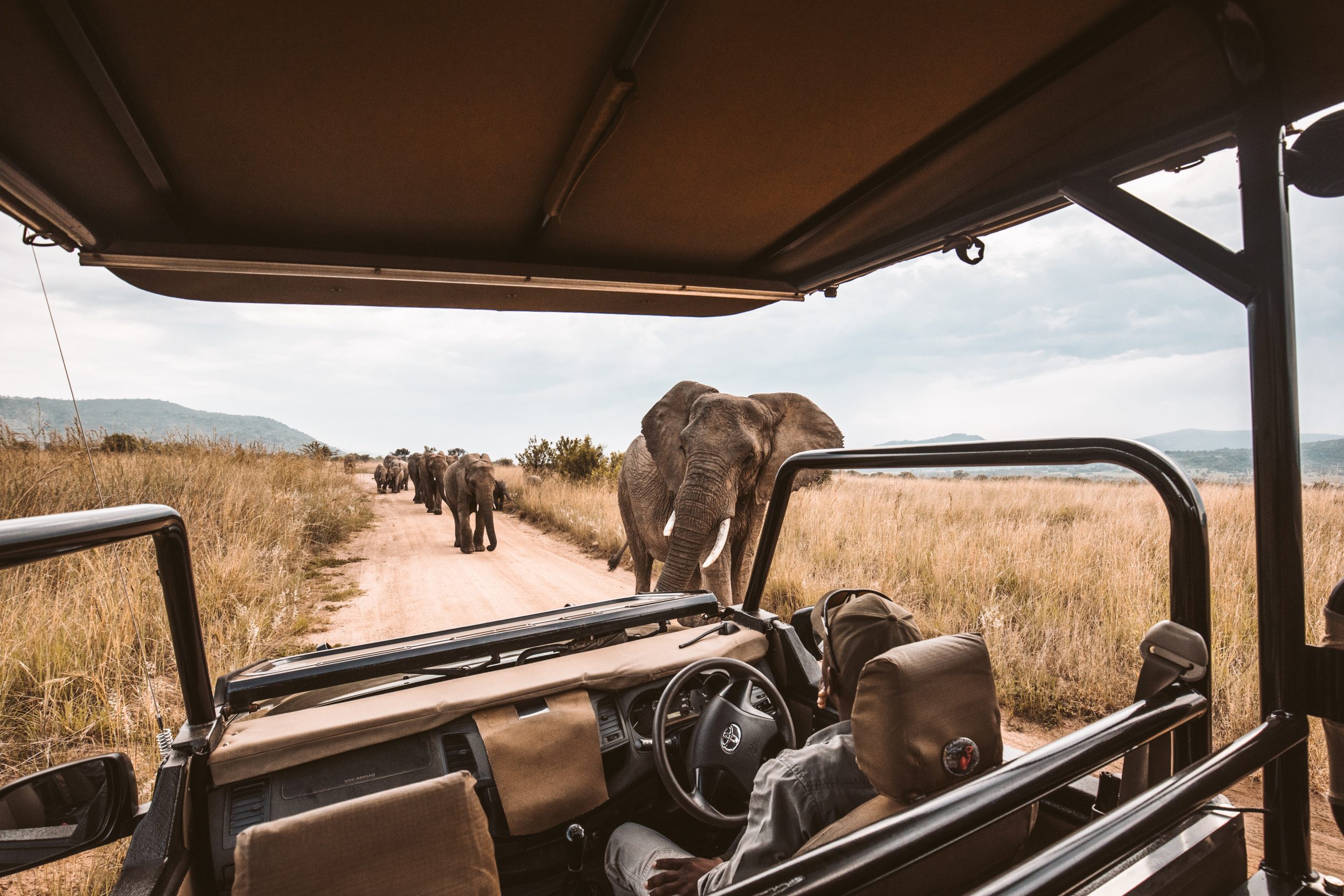 Game Drives 