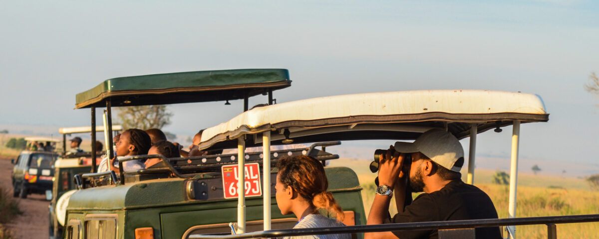 What Time of Day Are Game Drives Conducted?