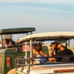 What Time of Day Are Game Drives Conducted?