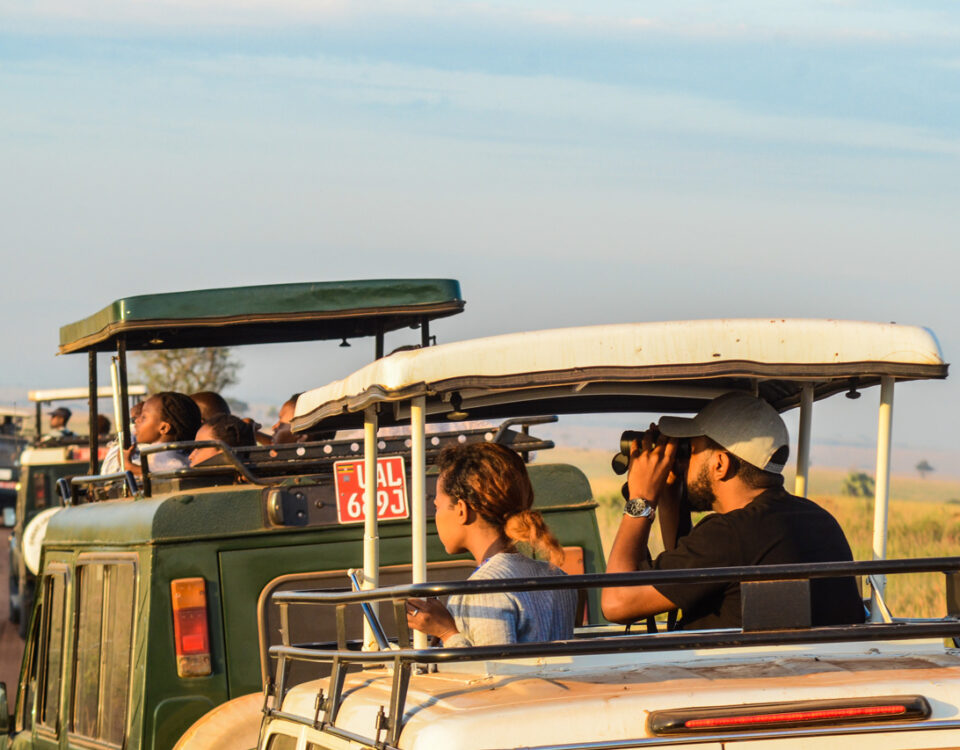 What Time of Day Are Game Drives Conducted?