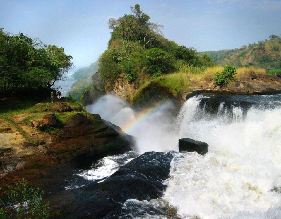 How Far Is Bwindi from Other Major Parks Like Queen Elizabeth or Murchison Falls?