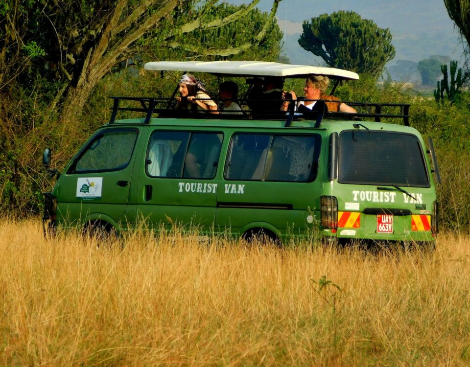 What Are the Best National Parks in Uganda for Game Drives2